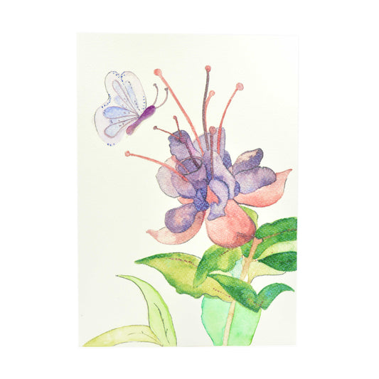 Ilustración Campanilla&mariposa